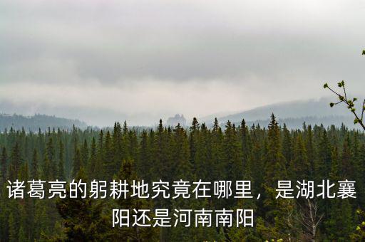 諸葛亮的躬耕地究竟在哪里，是湖北襄陽還是河南南陽