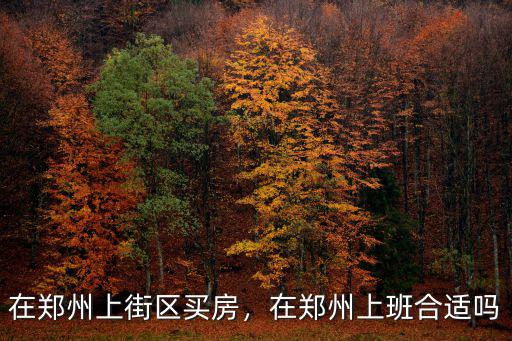 在鄭州上街區(qū)買房，在鄭州上班合適嗎