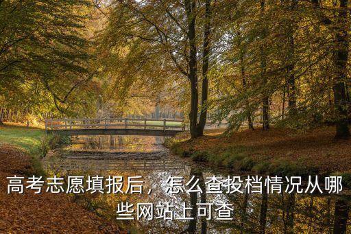 河南高考志愿投檔怎么查,怎么查投檔情況