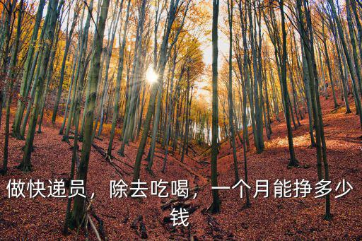 做快遞員，除去吃喝，一個月能掙多少錢