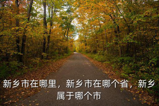 新鄉市在哪里，新鄉市在哪個省，新鄉屬于哪個市