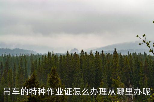 南陽履帶吊操作證在哪里辦理,哪里辦操作證
