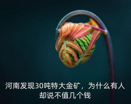 河南發現30噸特大金礦，為什么有人卻說不值幾個錢