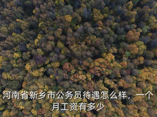 河南省新鄉(xiāng)市公務(wù)員待遇怎么樣，一個(gè)月工資有多少