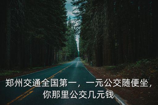 鄭州交通全國第一，一元公交隨便坐，你那里公交幾元錢