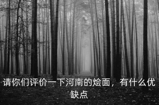 請(qǐng)你們?cè)u(píng)價(jià)一下河南的燴面，有什么優(yōu)缺點(diǎn)
