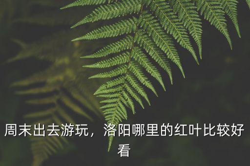 周末出去游玩，洛陽哪里的紅葉比較好看