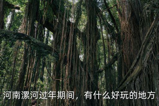 2o19正月十五漯河哪里好玩,正月十五去哪里玩比較好