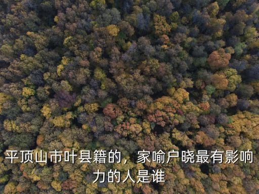 平頂山市葉縣籍的，家喻戶曉最有影響力的人是誰