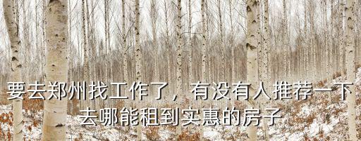 要去鄭州找工作了，有沒有人推薦一下去哪能租到實惠的房子