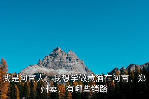 河南黃酒市場在哪里,黃酒的銷路在哪里