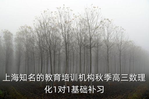 上海教育，上海知名的教育培訓機構秋季高三數理化1對1基礎補習
