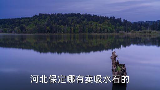 吸水石河南哪里有,河北保定哪有賣吸水石的