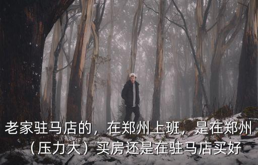 老家駐馬店的，在鄭州上班，是在鄭州（壓力大）買房還是在駐馬店買好