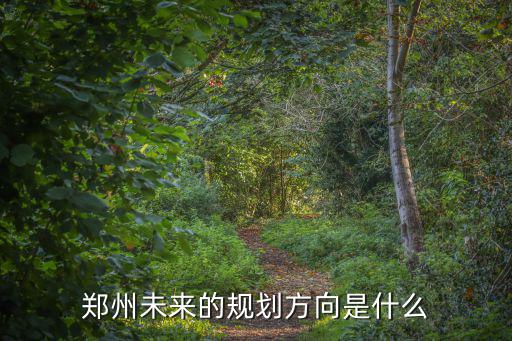 鄭州怎么查市區(qū)規(guī)劃,鄭州未來的規(guī)劃方向是什么