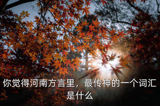 你覺得河南方言里，最傳神的一個詞匯是什么