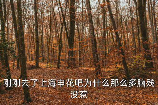 剛剛去了上海申花吧為什么那么多腦殘沒惹