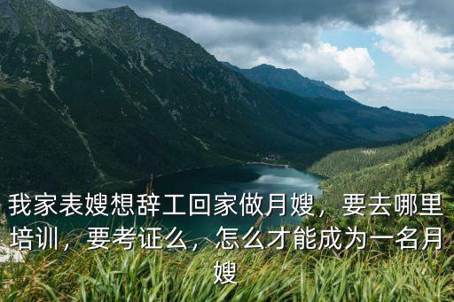 鶴壁月嫂培訓怎么考證學習,月嫂正規考證培訓哪里有
