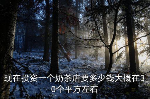 在洛陽開奶茶店多少平方,開一家奶茶店大概需要多少錢