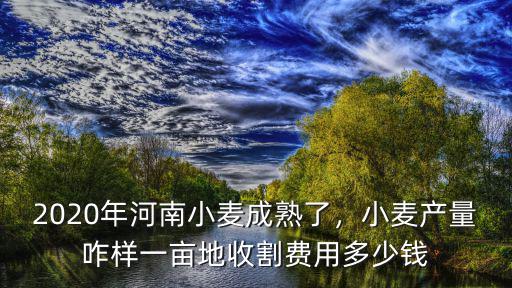 2020年河南小麥成熟了，小麥產(chǎn)量咋樣一畝地收割費(fèi)用多少錢