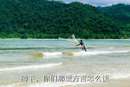 河南方言蹲下怎么說,你們那里方言怎么讀