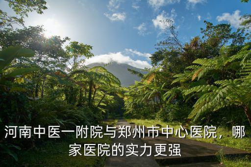 河南中醫一附院與鄭州市中心醫院，哪家醫院的實力更強