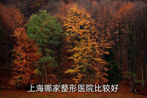 上海美容醫(yī)院，上海美容醫(yī)院哪些最好怎么樣