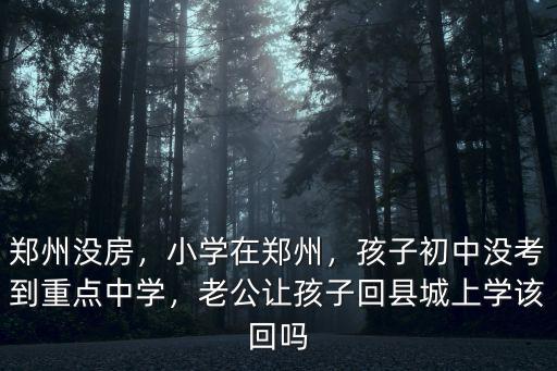 鄭州沒房，小學(xué)在鄭州，孩子初中沒考到重點中學(xué)，老公讓孩子回縣城上學(xué)該回嗎