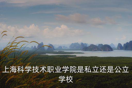 上海科學技術職業學院是私立還是公立學校