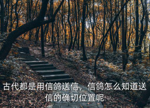 古代都是用信鴿送信，信鴿怎么知道送信的確切位置呢