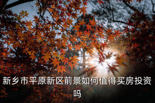 新鄉市平原新區前景如何值得買房投資嗎