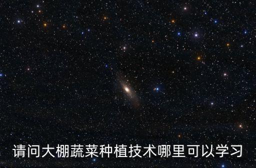 請(qǐng)問(wèn)大棚蔬菜種植技術(shù)哪里可以學(xué)習(xí)