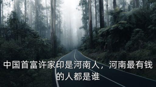 許家印是河南太康哪里人,中國首富許家印是河南人