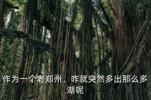 作為一個(gè)老鄭州，咋就突然多出那么多湖呢