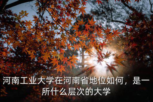 河南工業大學在河南省地位如何，是一所什么層次的大學