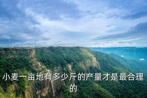 河南一畝地產(chǎn)多少小麥,美國一畝地小麥有多少產(chǎn)量