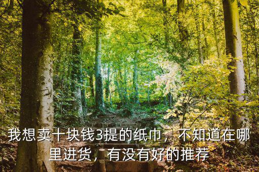 我想賣十塊錢3提的紙巾，不知道在哪里進貨，有沒有好的推薦