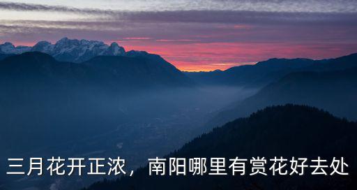 三月花開正濃，南陽哪里有賞花好去處