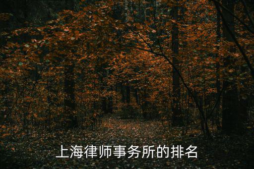 上海律師事務(wù)所，上海有哪些有名的涉外律師事務(wù)所