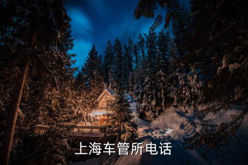 上海車管所電話