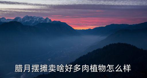 臘月擺攤賣啥好多肉植物怎么樣
