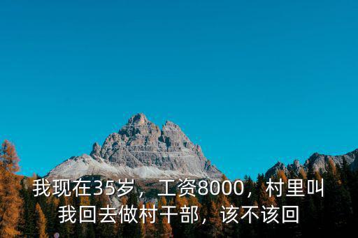 我現在35歲，工資8000，村里叫我回去做村干部，該不該回