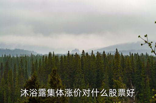 上海家化股票，日用品股票有那些