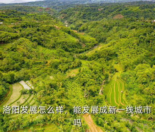 洛陽洛新開發區未來怎么樣,洛陽發展怎么樣