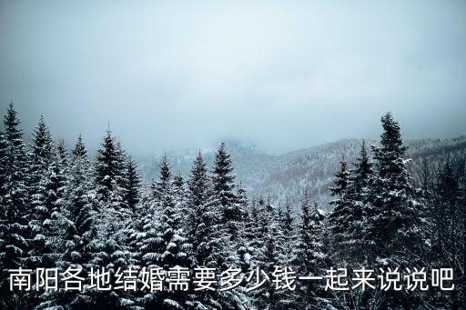 南陽(yáng)各地結(jié)婚需要多少錢(qián)一起來(lái)說(shuō)說(shuō)吧
