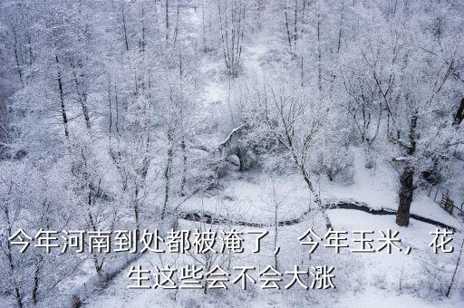 今年河南到處都被淹了，今年玉米，花生這些會(huì)不會(huì)大漲