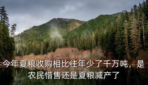今年夏糧收購相比往年少了千萬噸，是農民惜售還是夏糧減產了