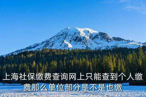 上海社保繳費查詢網(wǎng)上只能查到個人繳費那么單位部分是不是也繳
