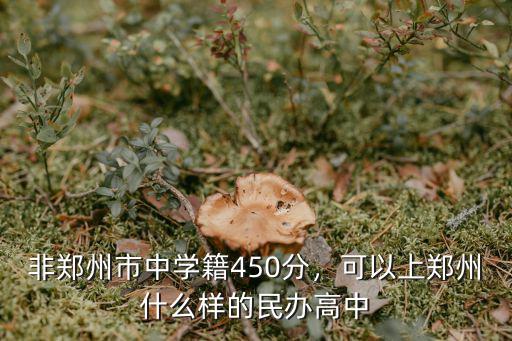 非鄭州市中學籍450分，可以上鄭州什么樣的民辦高中
