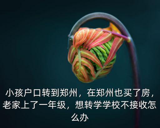 小孩戶口轉到鄭州，在鄭州也買了房，老家上了一年級，想轉學學校不接收怎么辦